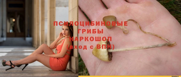 МДПВ Вязники